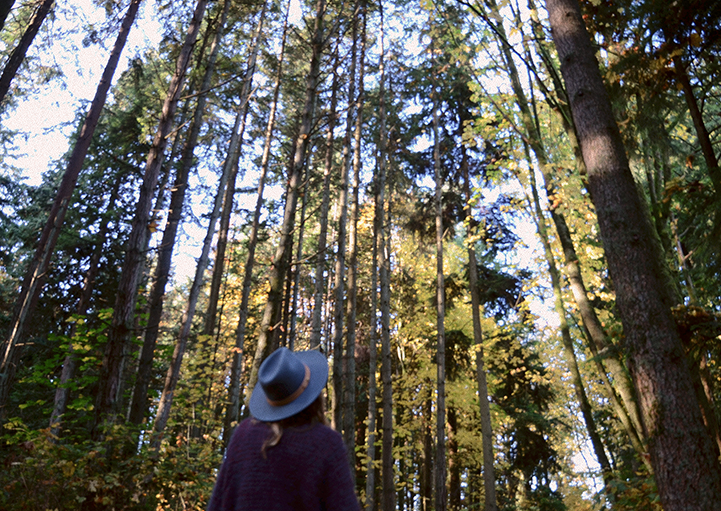 Grove Essential Oil Blend