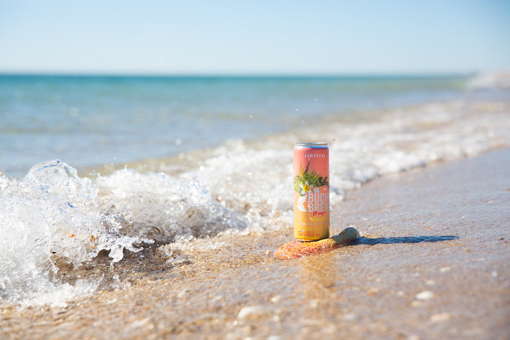 Everything You Need to Know About Kombucha