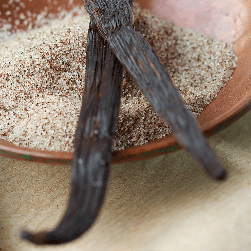 Warm Vanilla Drive Scent Refill