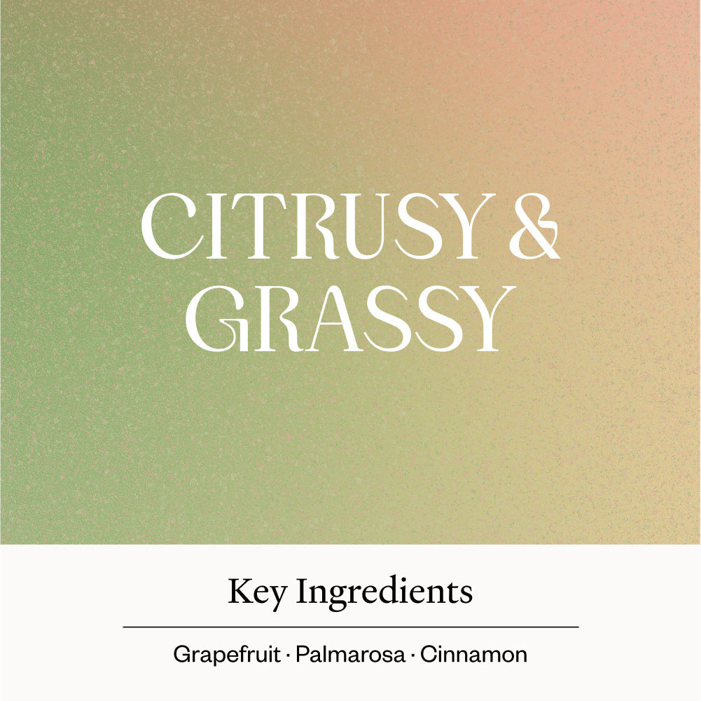 Sweet Water Diffuser Blend