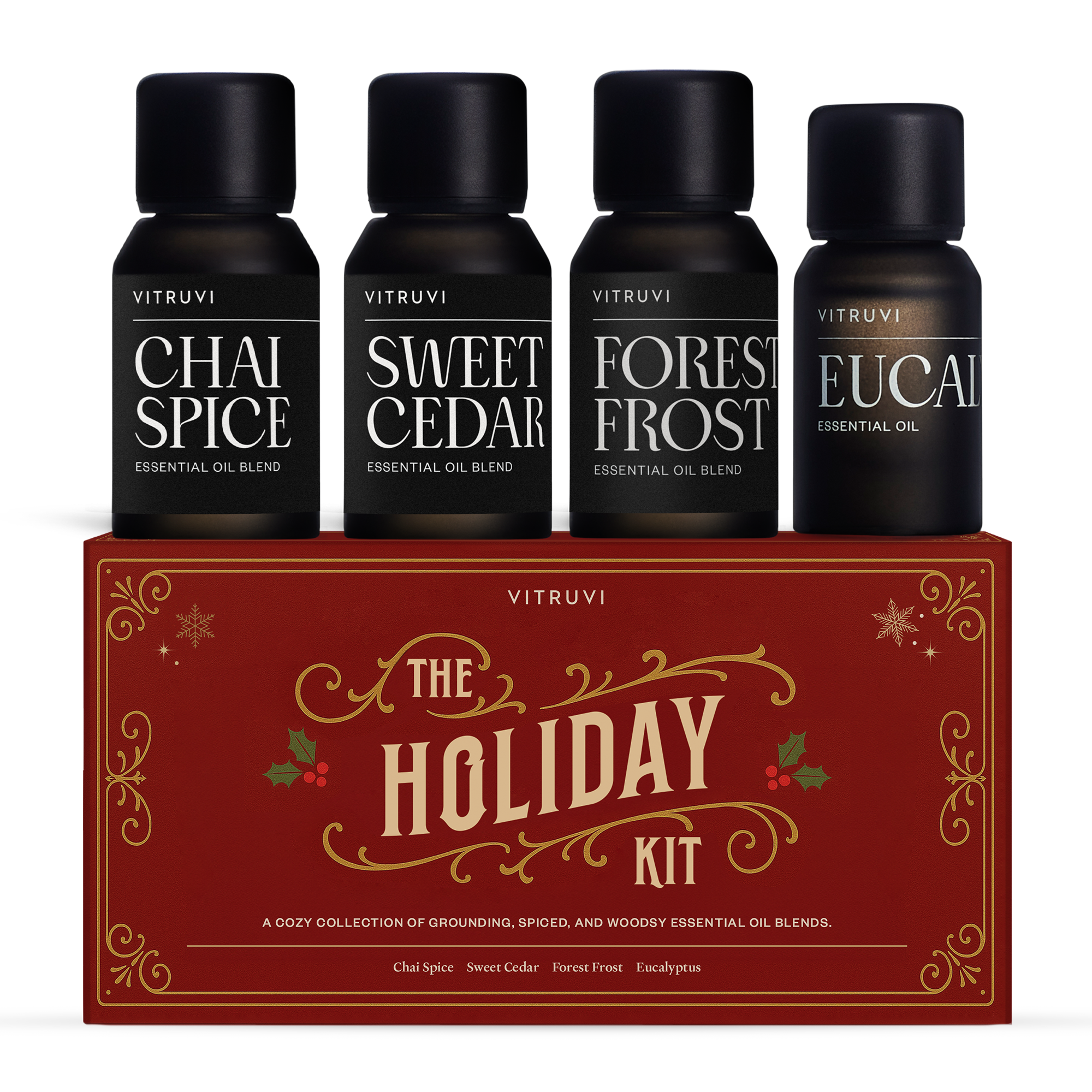 The Holiday Kit – Vitruvi US