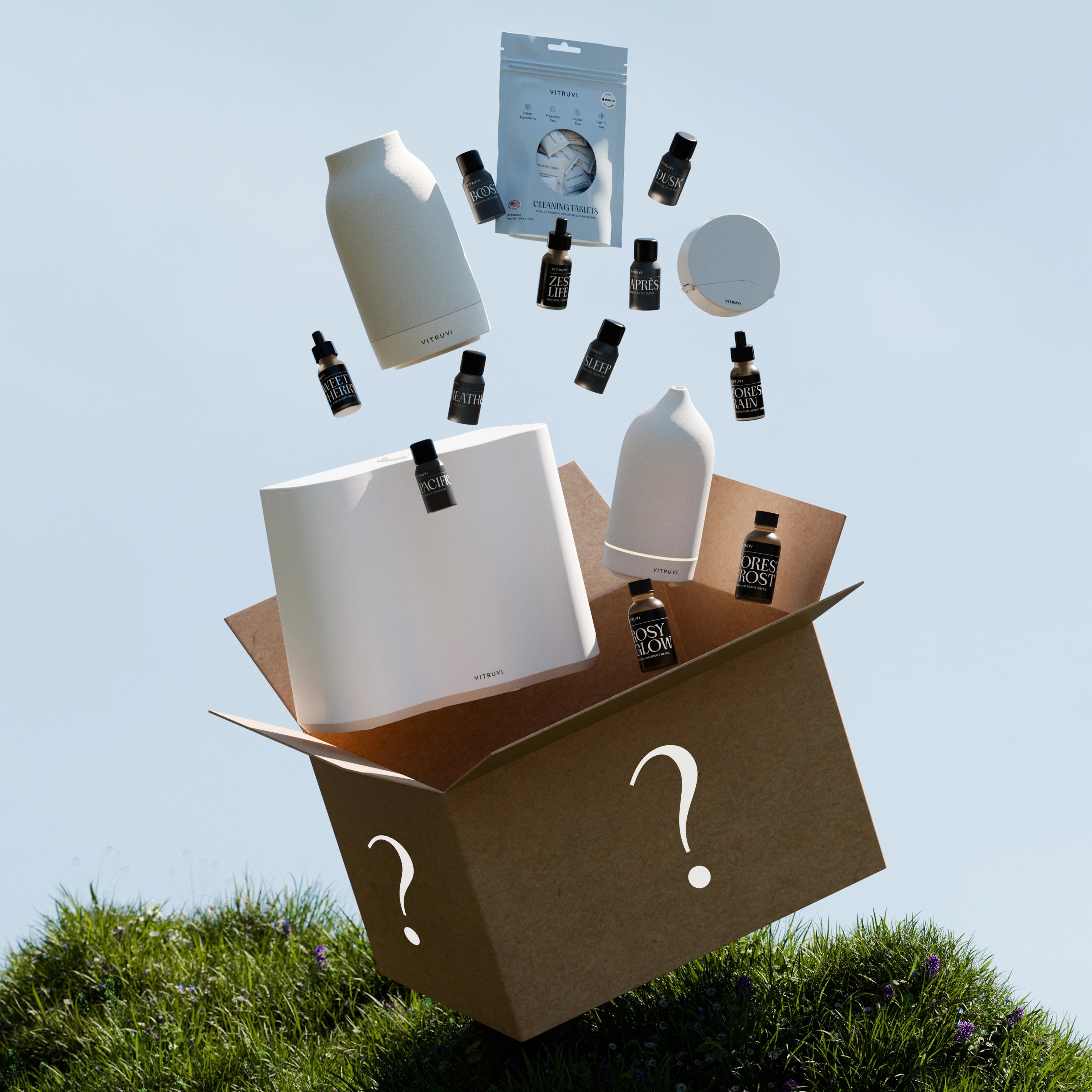The Mystery Box