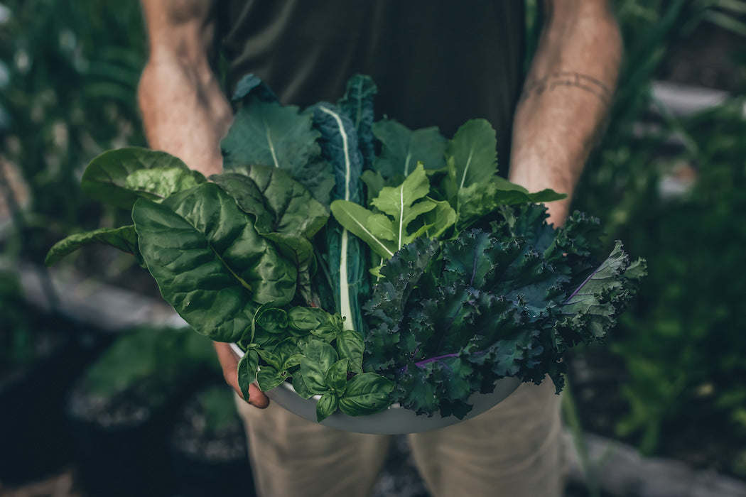 The Mental Health Benefits of Gardening