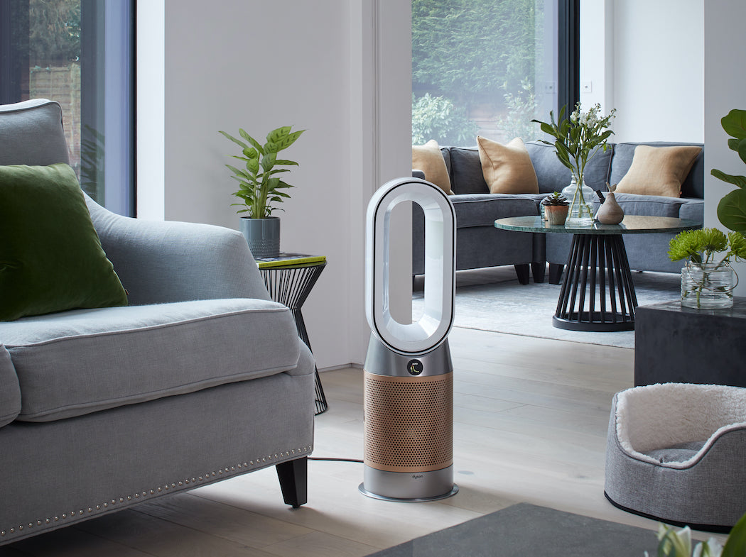 Indoor Air Pollution: What You Need to Know