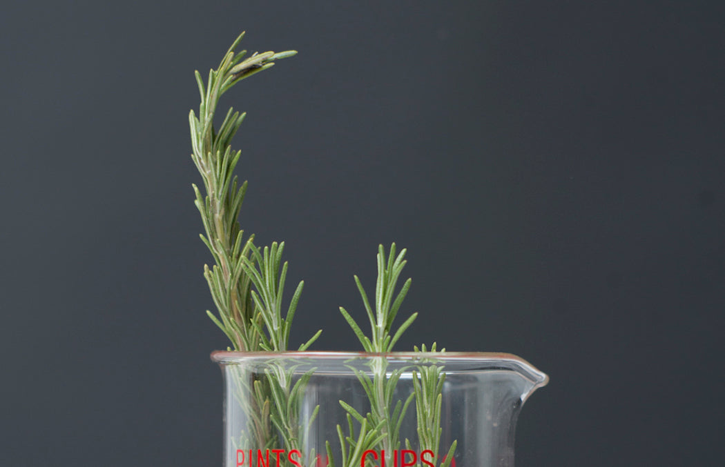 Five Ways to Use Rosemary Essential Oil