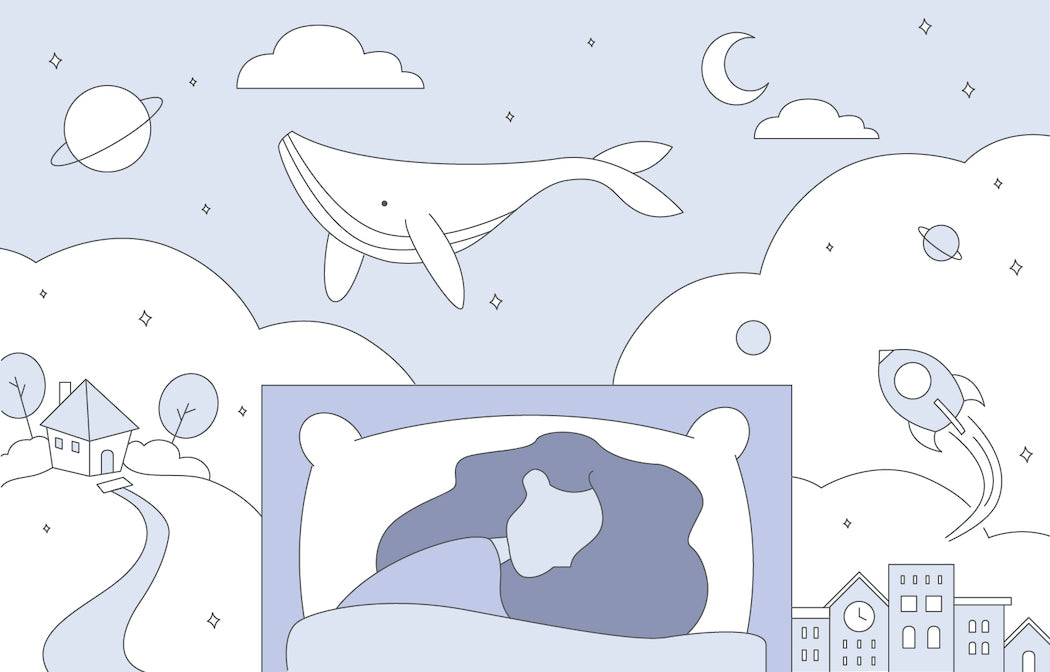 What Our Dreams Might Actually Mean
