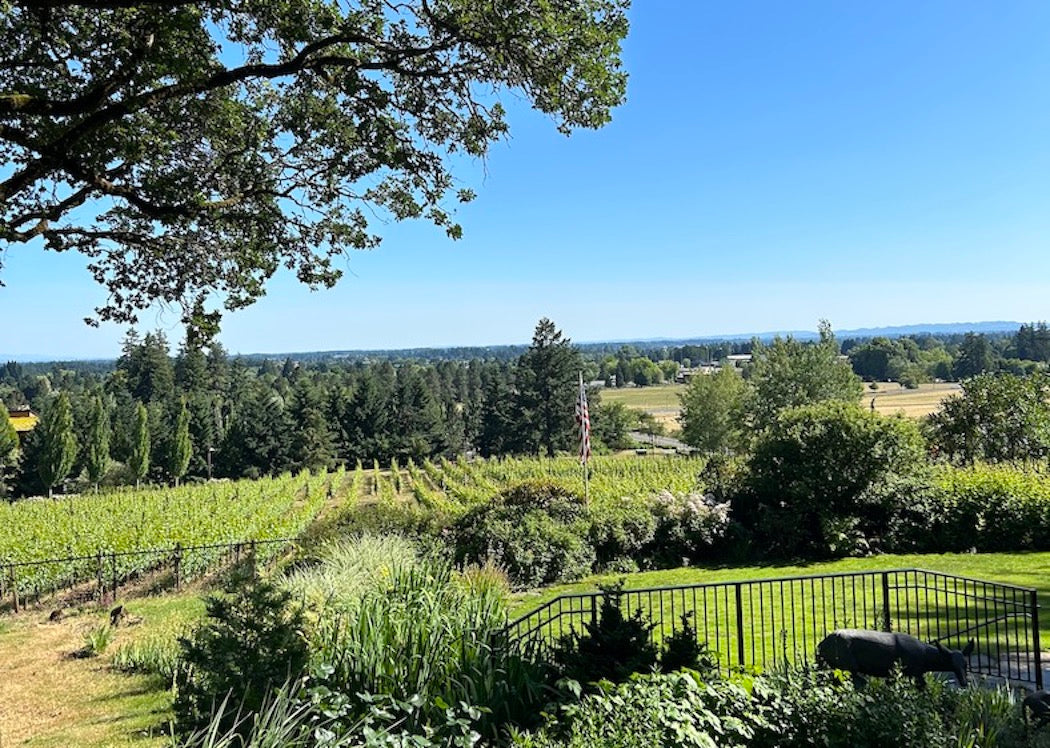 Three Days in Oregon Wine Country