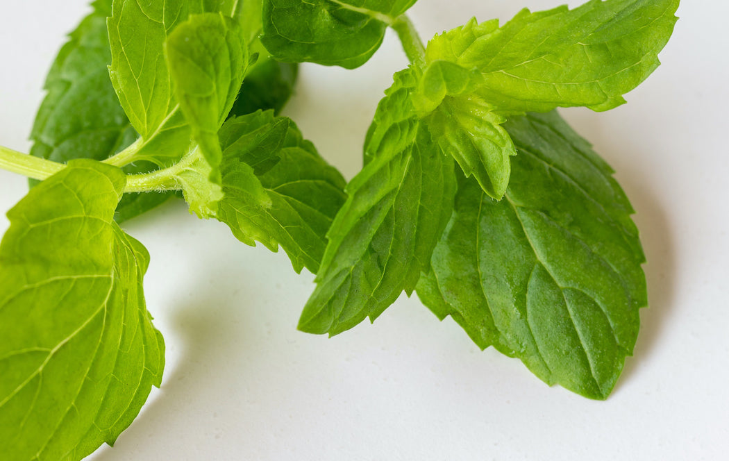 Diffuser Cocktail: Fresh Herbs