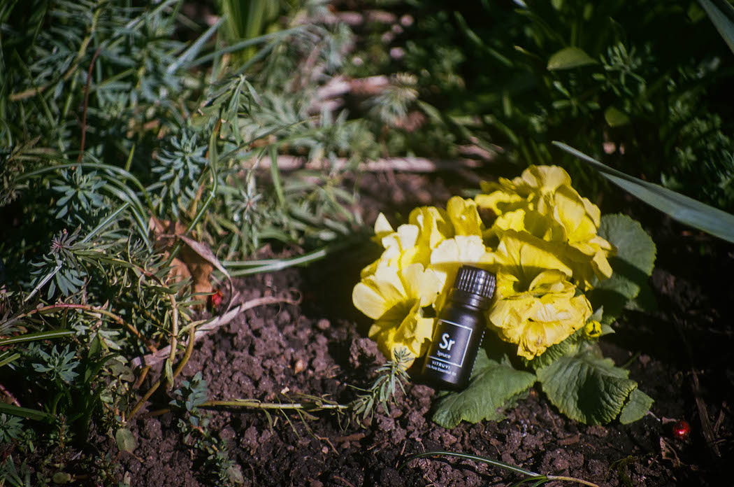Diffuser Cocktail: So Fresh and So Clean – Vitruvi US