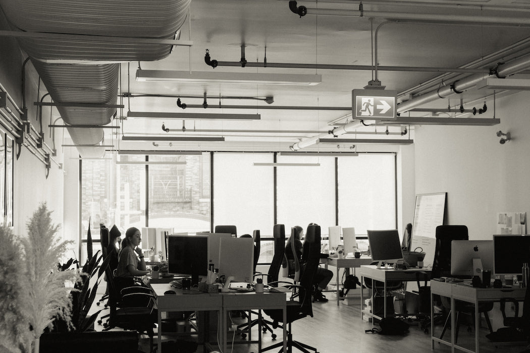 Diffuser Cocktail: Quiet Office Mornings – Vitruvi US