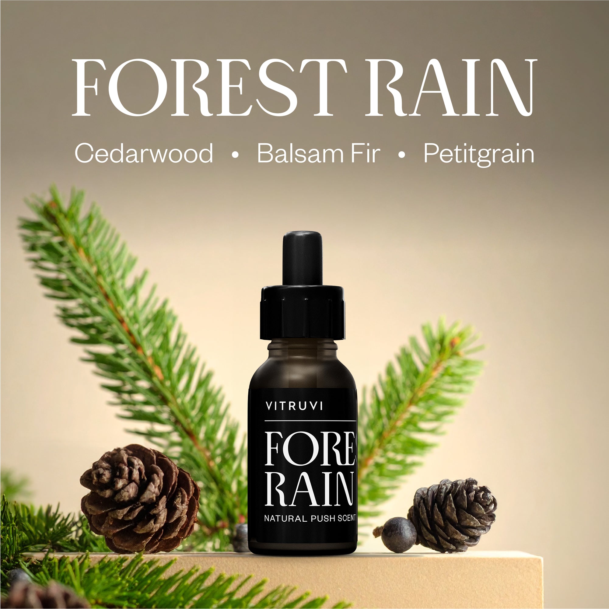 Forest Rain Push Scent Refill – Vitruvi US